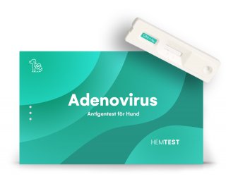 Adenovirus I -antigeenitesti koiralle