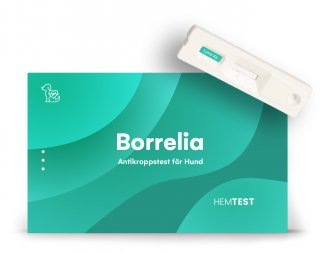 Borrelia-vasta-ainetesti koiralle