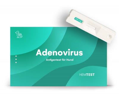Adenovirus I -antigeenitesti koiralle