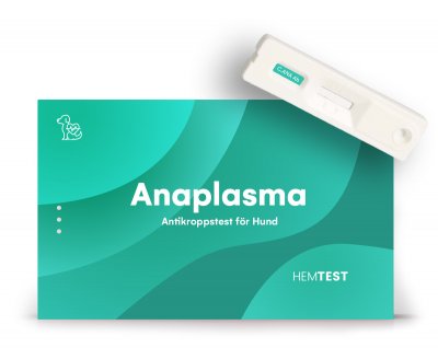 Anaplasma-vasta-ainetesti koiralle