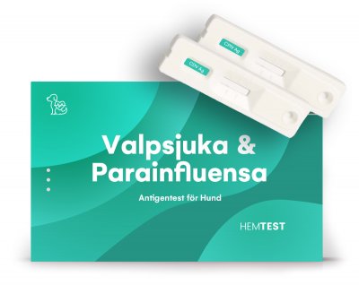 Penikkatauti- ja Parainfluenssavirusantigeenitesti koiralle