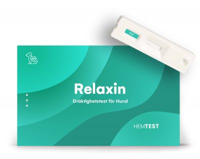 Tiineyden Relaxin-testi koiralle