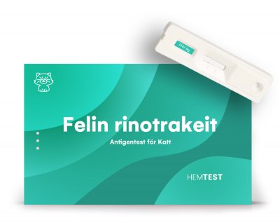 Viraalinen rinotrakeiitti -antigeenitesti kissalle