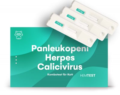 Panleukopenia-/Herpesvirus-/Kalikivirus-yhdistelmätesti kissalle