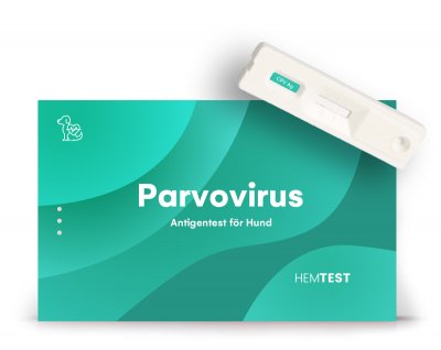 Parvovirus Koira